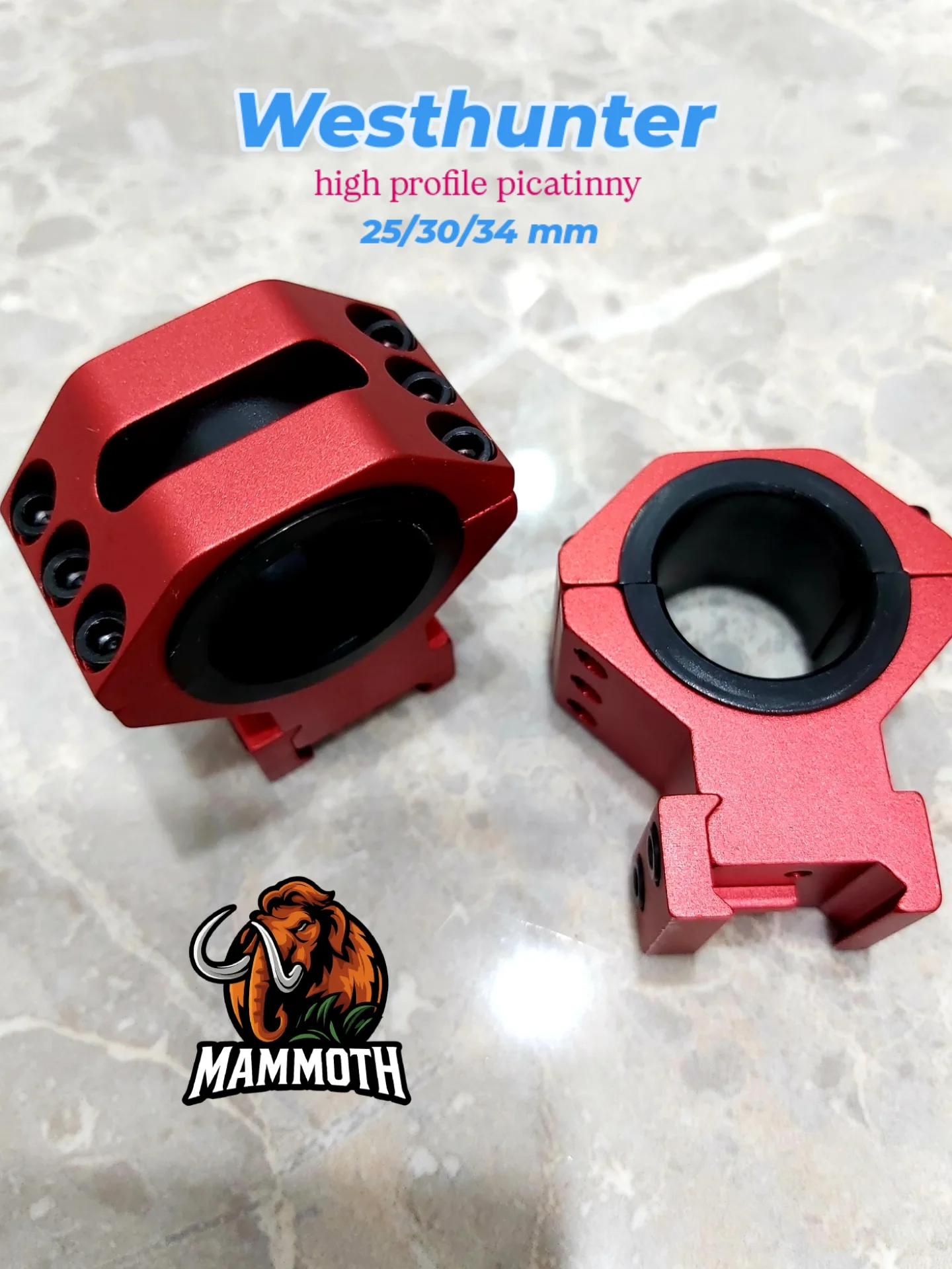 رینگ‌۳۴ پیکاتینی