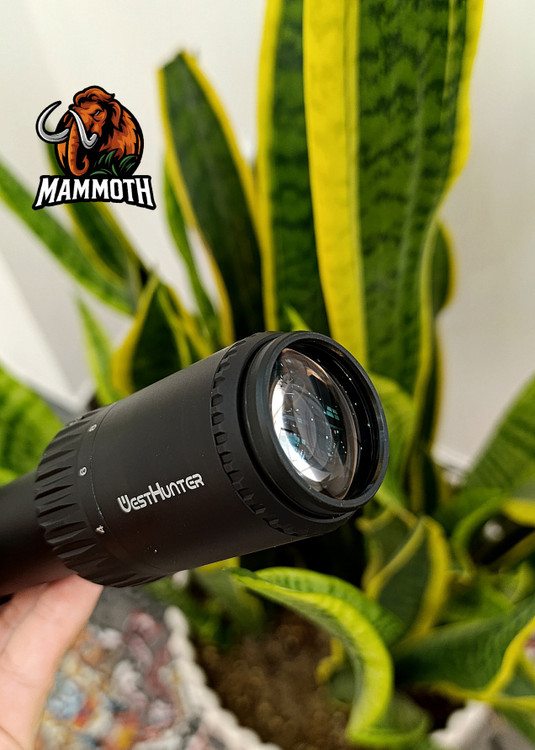 لنزهای باکیفیت