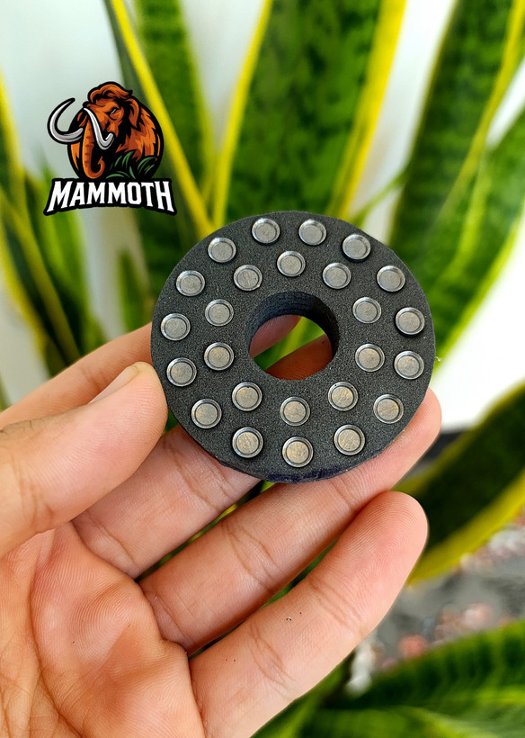 اسلاگ زد آر ان 31 گرین مدل Z1 ویژه لاینر های اف ایکس