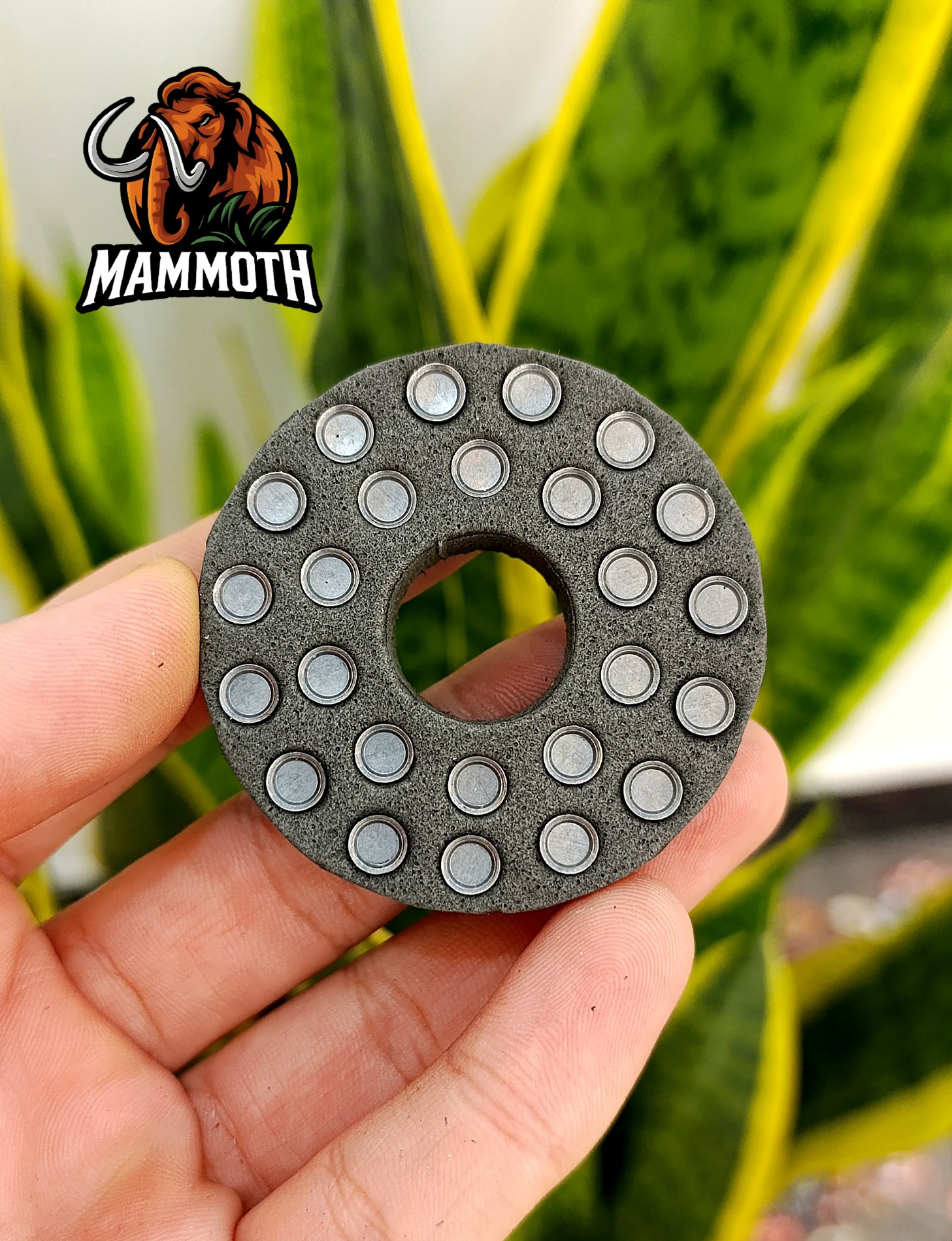 ماموث استور