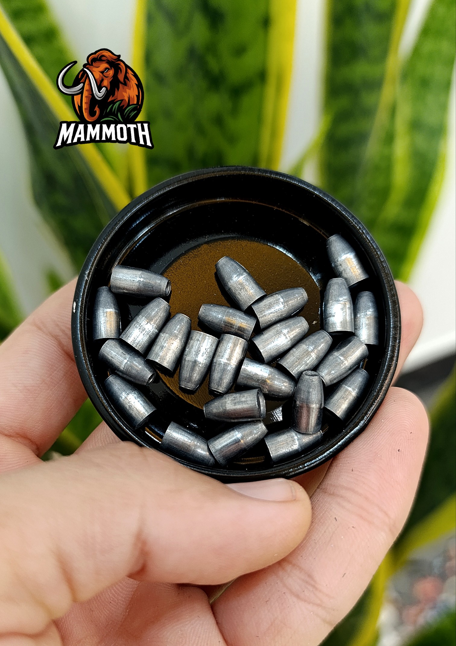 ماموث استور