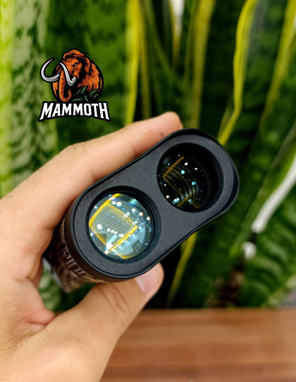 بزرگنمایی ۶ برابر