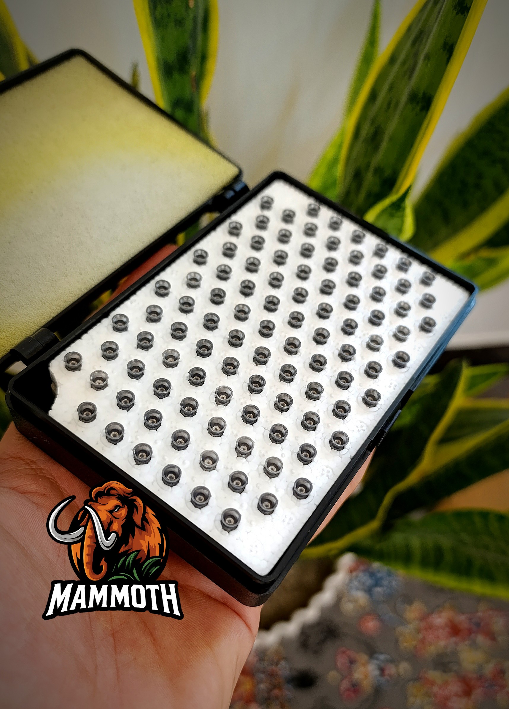 در بسته بندی عالی ، بدون دفرمگی