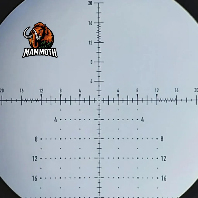 رتیکل کاجی زیبا