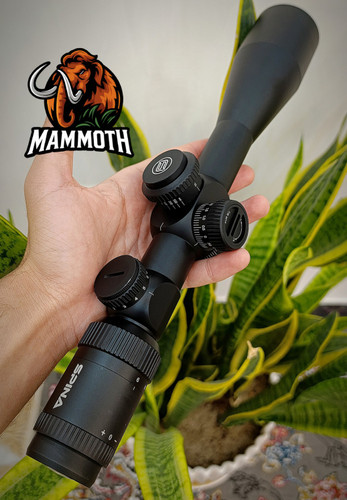 دوربین اسپینا