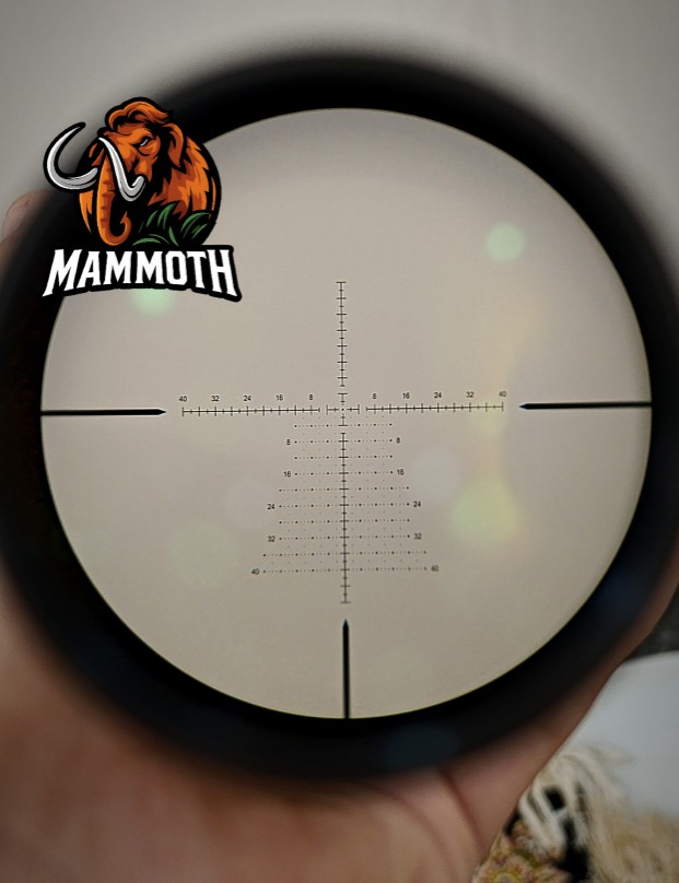 رتیکل کاجی زیبا