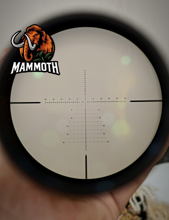 رتیکل کاجی زیبا