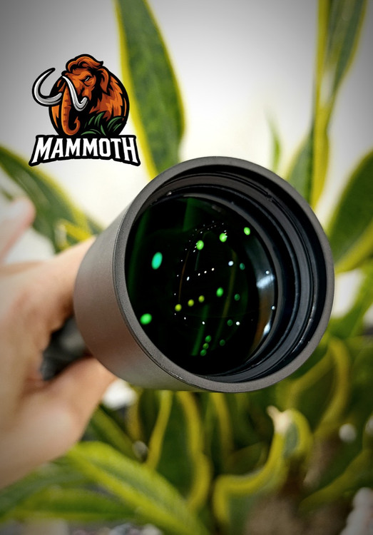 لنزهای شفاف