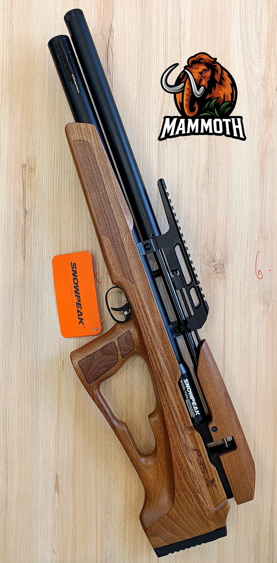 اسنوپیک پی سی و‌ پنج ایکس