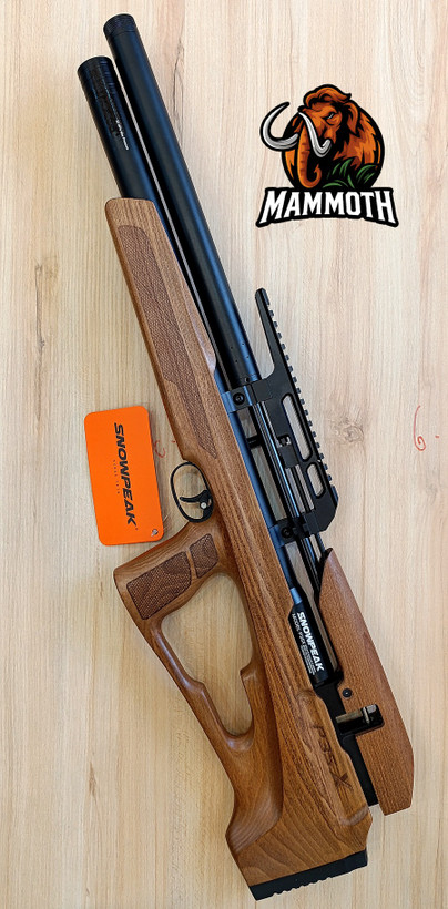 اسنوپیک پی سی و پنج ایکس