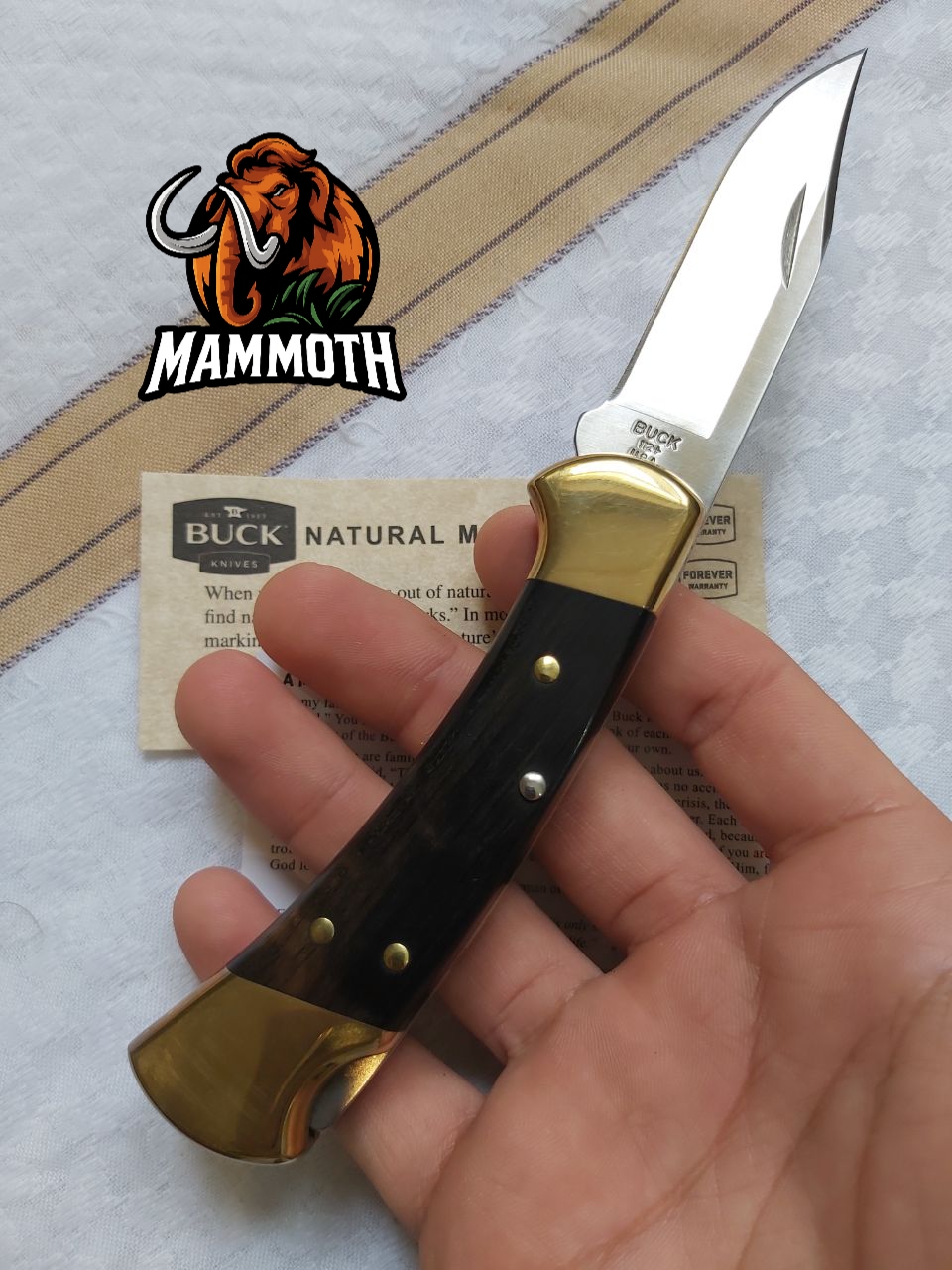 باک ۱۱۲ اصلی