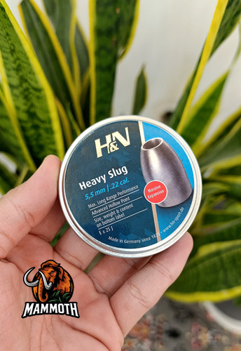 اچ اند ان اورجینال دقیق